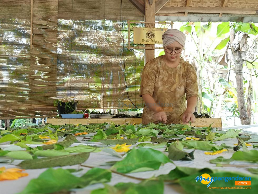 Potret Pembuatan Ecoprint Batik Dahon Pangandaran