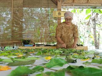 Potret Pembuatan Ecoprint Batik Dahon Pangandaran