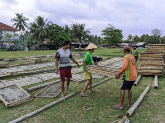 Potret Pengrajin Ikan Asin Teri Rebus Pangandaran 